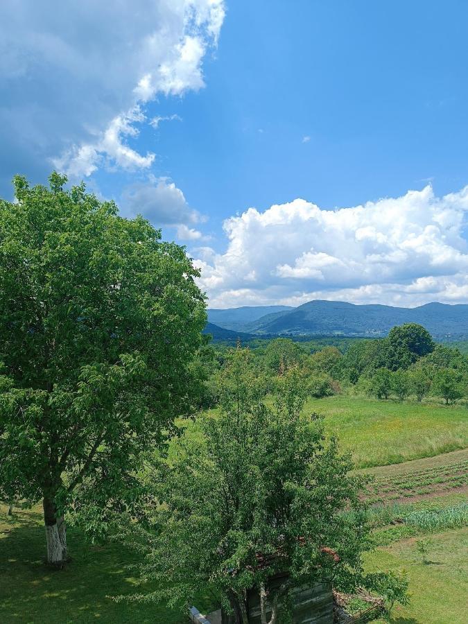 דרז'ניק גראד Apartman Plum Plitvice מראה חיצוני תמונה