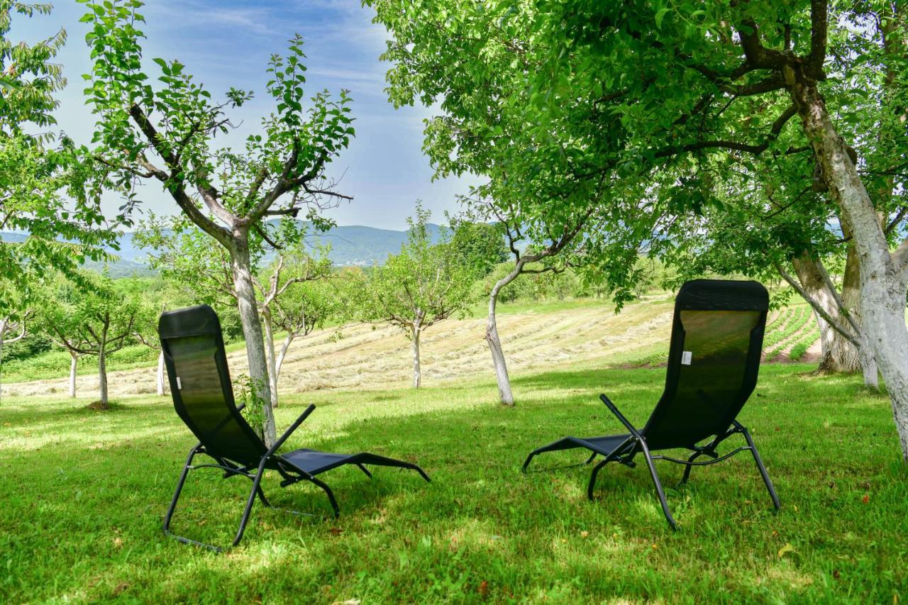 דרז'ניק גראד Apartman Plum Plitvice מראה חיצוני תמונה