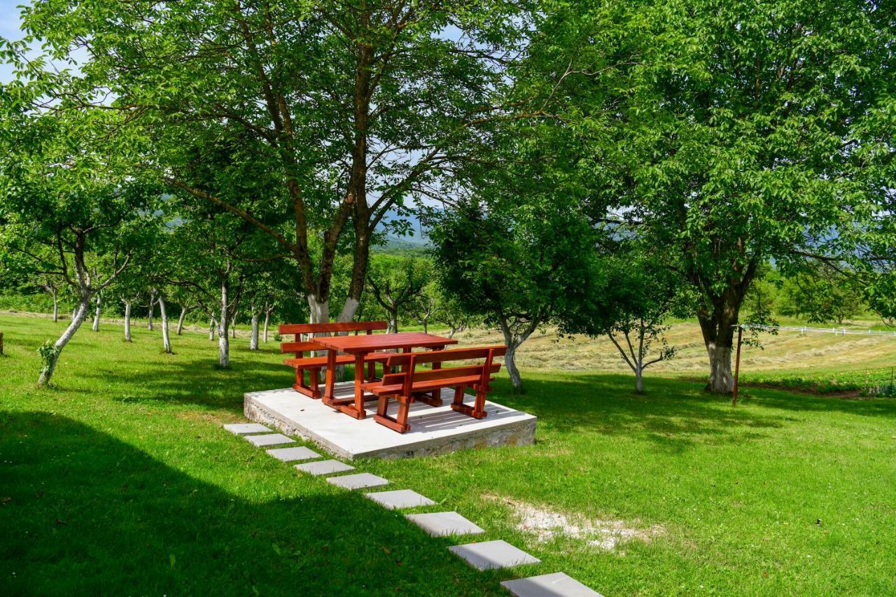 דרז'ניק גראד Apartman Plum Plitvice מראה חיצוני תמונה